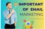 UAE Email Marketing Services | Top Digital Marketing Agency